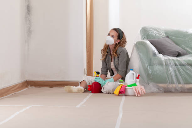 Reliable Black Mold Remediation contractor in Newaygo, MI by 24 Hour Mold Removal